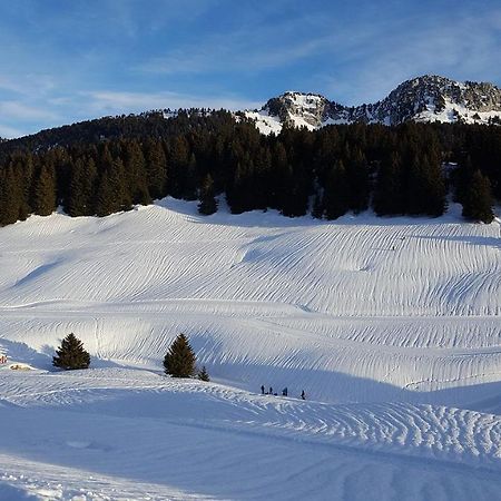 Gîte les Lanfiannes Thorens-Glières Extérieur photo