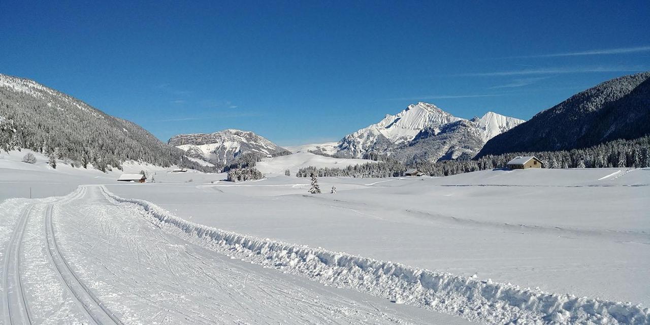 Gîte les Lanfiannes Thorens-Glières Extérieur photo