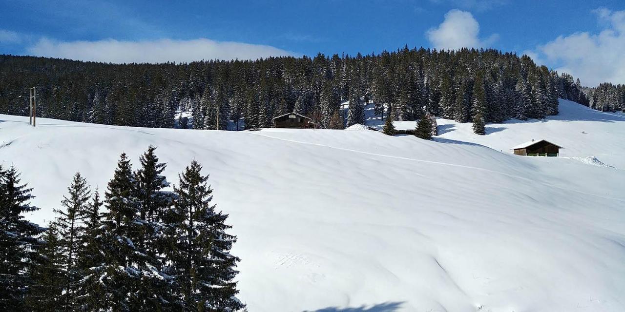 Gîte les Lanfiannes Thorens-Glières Extérieur photo