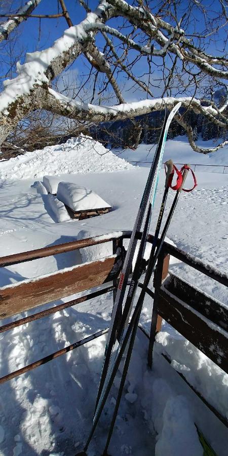Gîte les Lanfiannes Thorens-Glières Extérieur photo