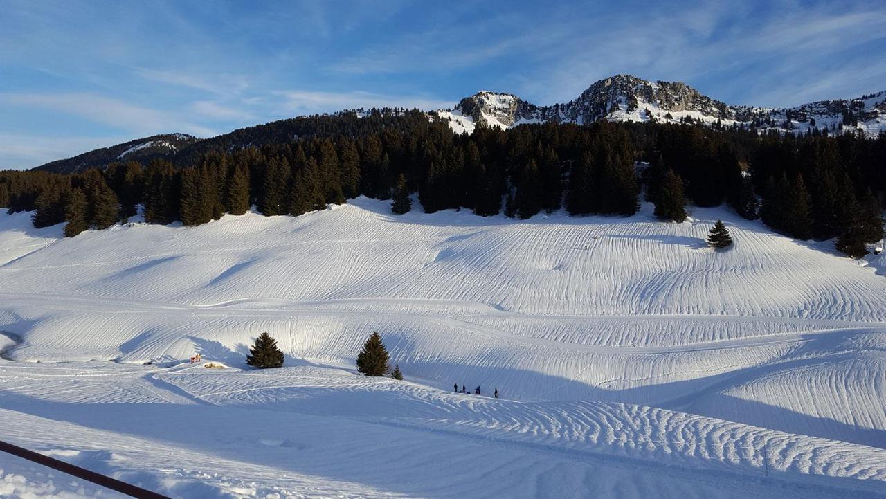 Gîte les Lanfiannes Thorens-Glières Extérieur photo