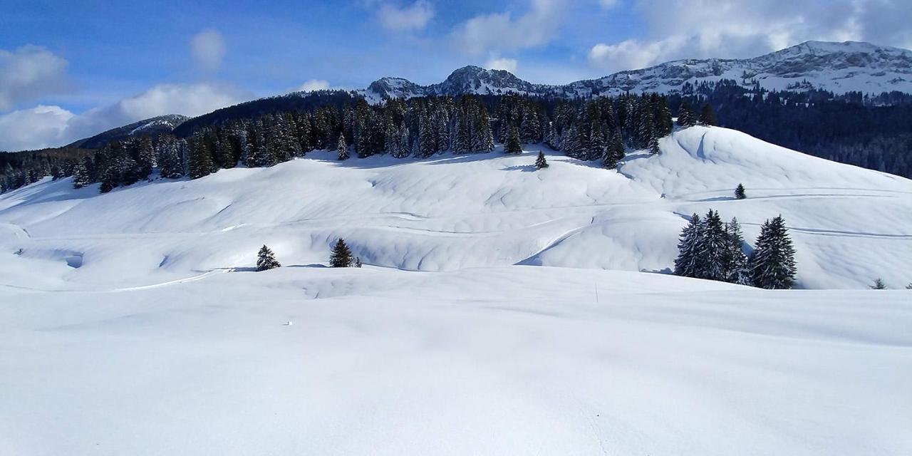 Gîte les Lanfiannes Thorens-Glières Extérieur photo
