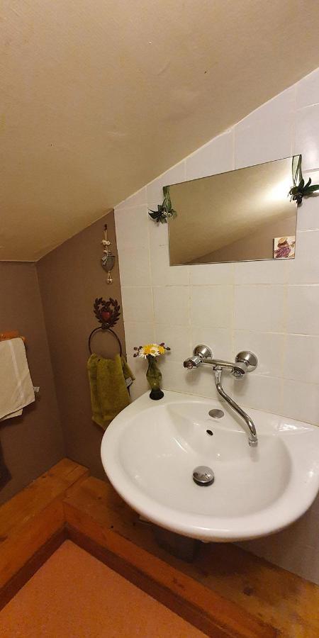 Gîte les Lanfiannes Thorens-Glières Extérieur photo