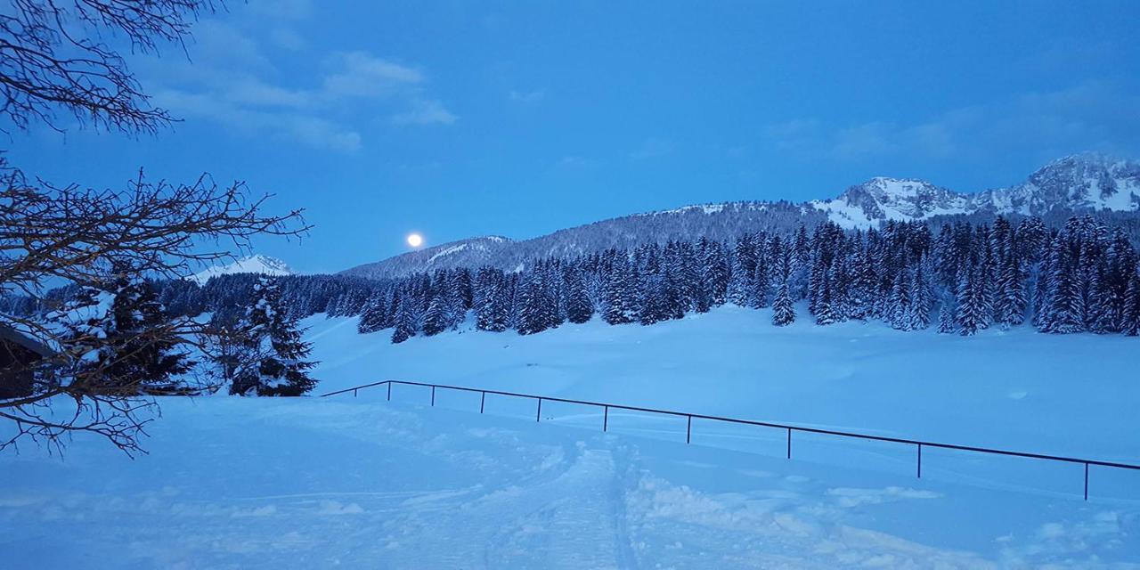 Gîte les Lanfiannes Thorens-Glières Extérieur photo